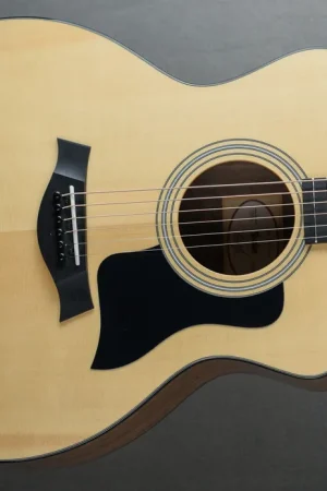 114CE Special Edition - Full Gloss– Dave's Guitar Shop Same Day Shipping