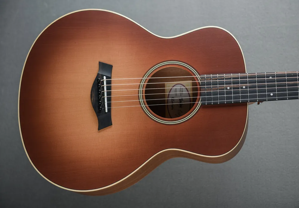Deal GS Mini-e Special Edition– Dave's Guitar Shop