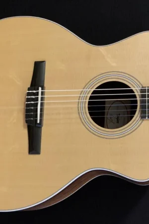 214ce-N Rosewood– Dave's Guitar Shop High Quality