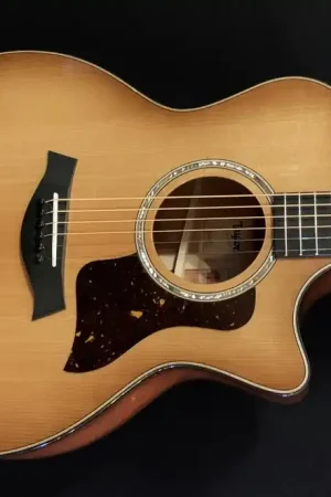Bargain 514CE - Urban Ironbark– Dave's Guitar Shop