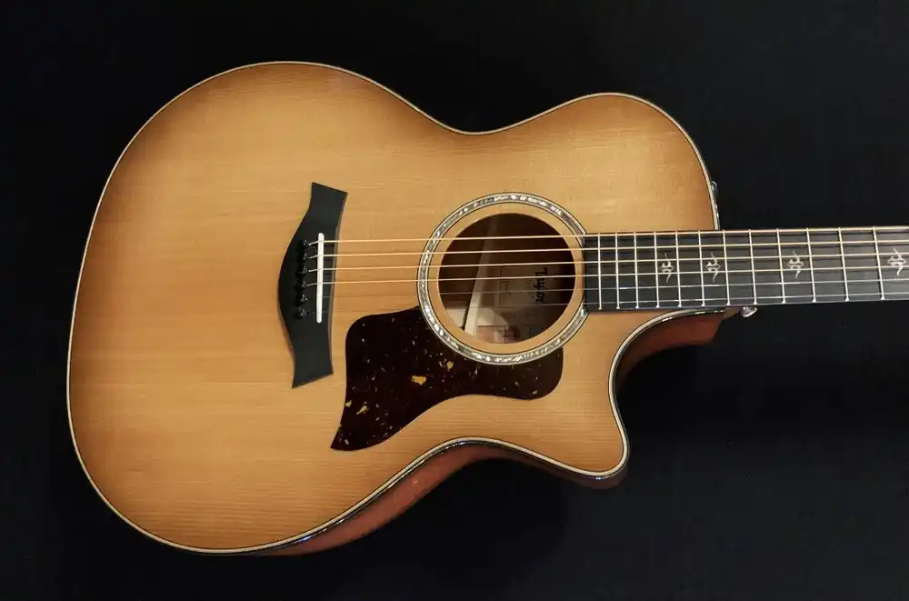 Bargain 514CE - Urban Ironbark– Dave's Guitar Shop