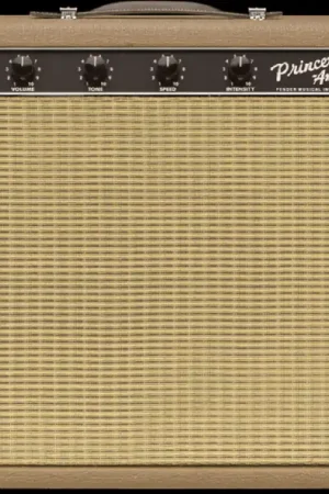 '62 Princeton Chris Stapleton Edition– Dave's Guitar Shop Order Now