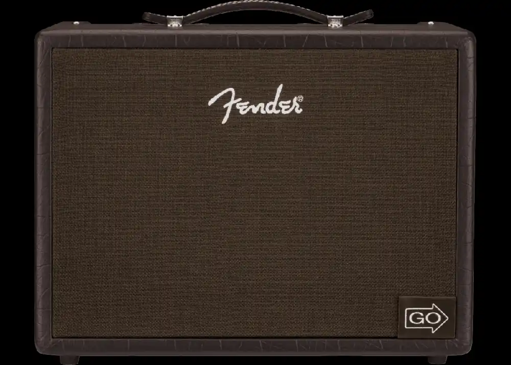 Brand New Acoustic Junior GO Amp Rechargeable - 120V– Dave's Guitar Shop