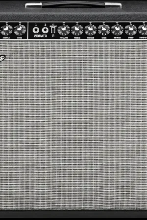 '65 Reissue Twin Reverb– Dave's Guitar Shop Crafted