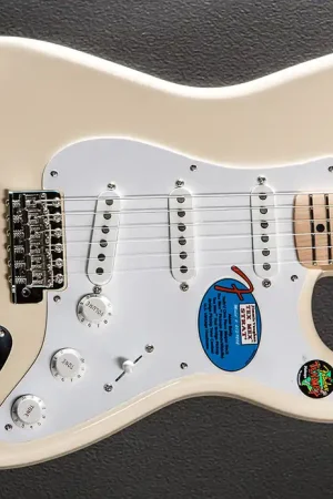 Worldwide Shipping Jimmie Vaughan Tex-Mex Strat - Olympic White– Dave's Guitar Shop